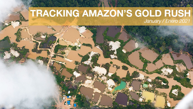 Tracking Amazon's Gold Rush - January 2021