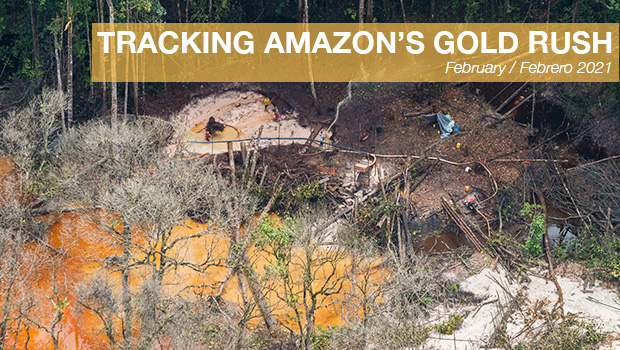 Tracking Amazon's Gold Rush newsletter