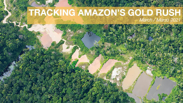 Tracking Amazon's Gold Rush